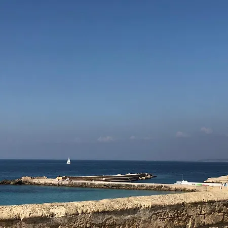 Calliope * Галлиполи